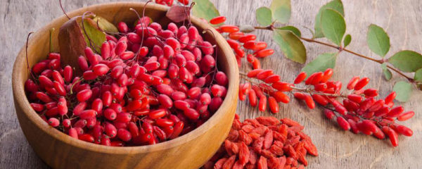 Baie de goji