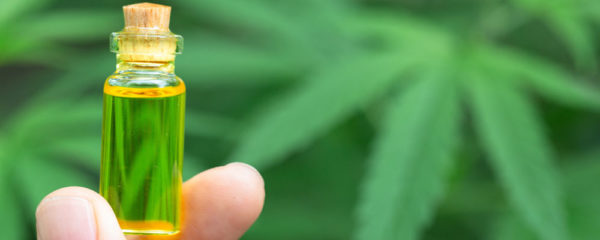huile de cannabis